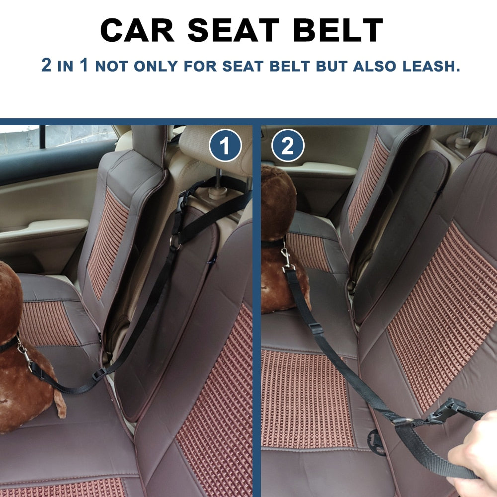 Seat Belt